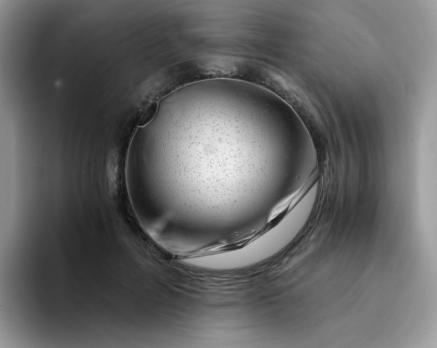 X0000094200600200711091220