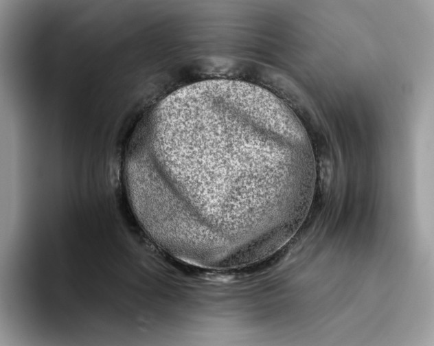 X0000094200602200711091220