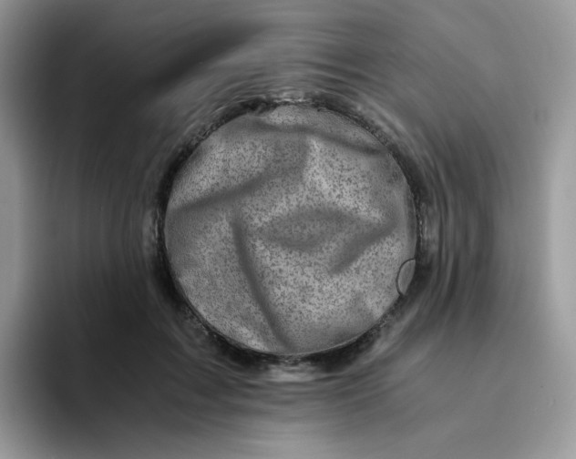 X0000094200603200711091220