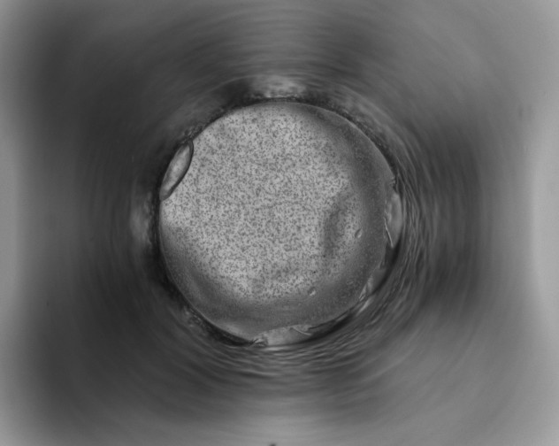 X0000094200604200711091220