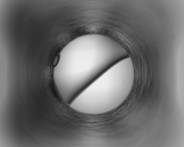 X0000094200605200711091220