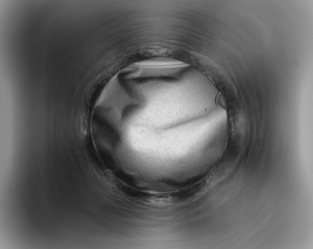 X0000094200606200711091220