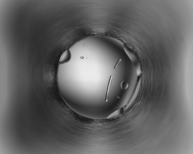 X0000094200608200711091220