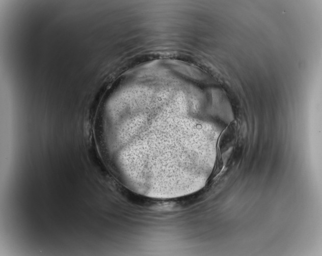 X0000094200609200711091220