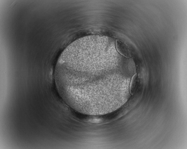 X0000094200610200711091220