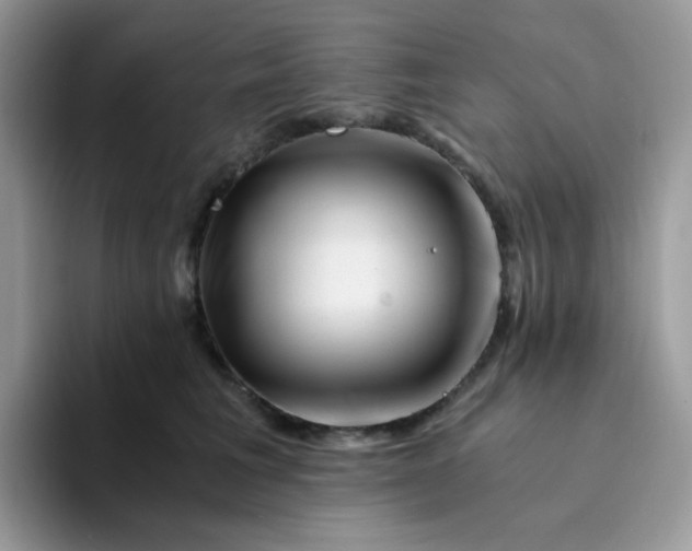 X0000094200613200711091220