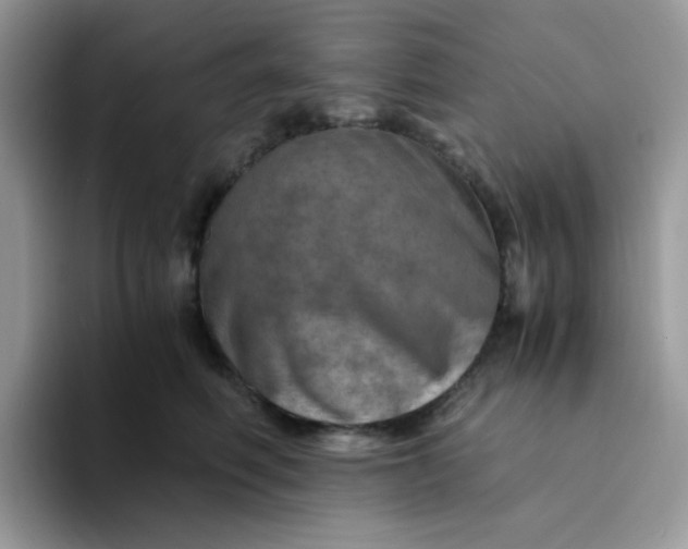 X0000094200614200711091220