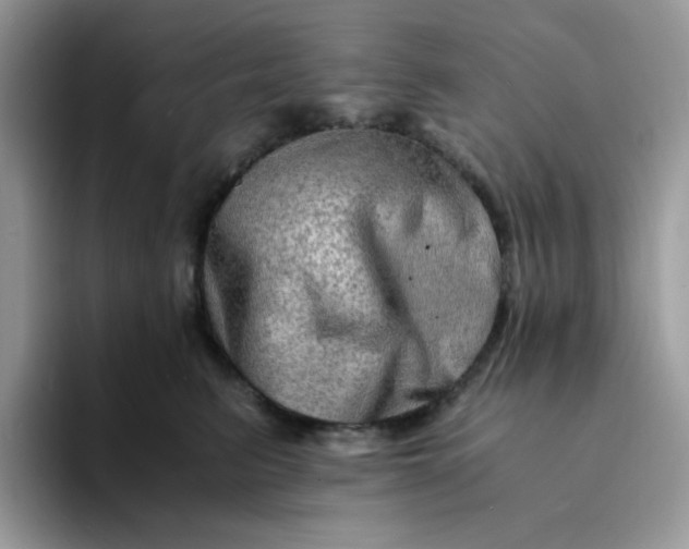 X0000094200615200711091220