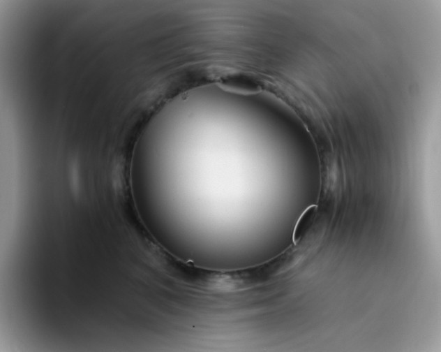 X0000094200616200711091220