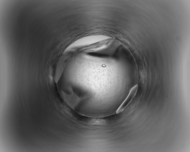 X0000094200617200711091220