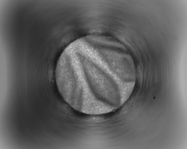 X0000094200619200711091220