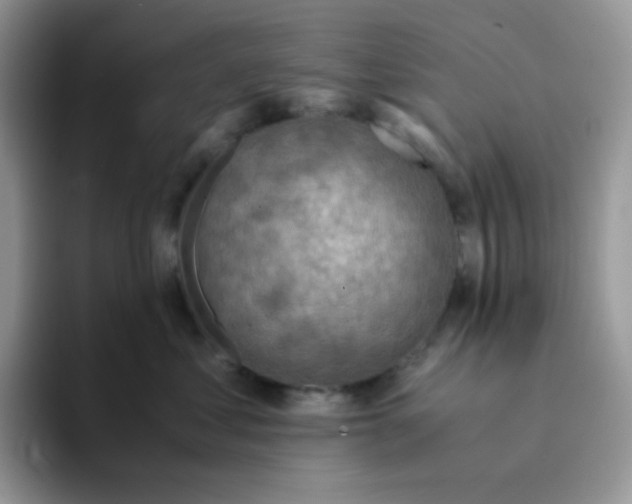 X0000094200621200711091220