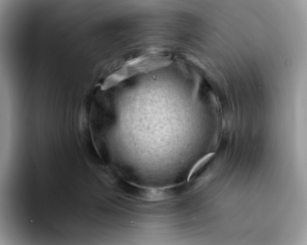 X0000094200623200711091220