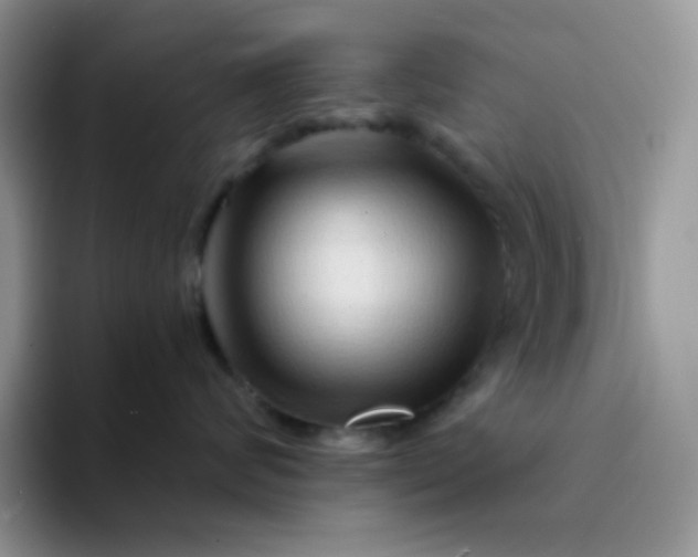 X0000094200624200711091220