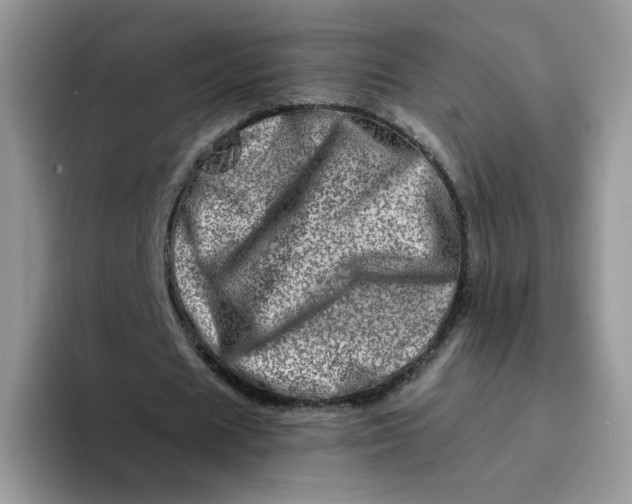 X0000094200625200711091220