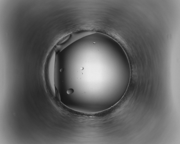 X0000094200626200711091220