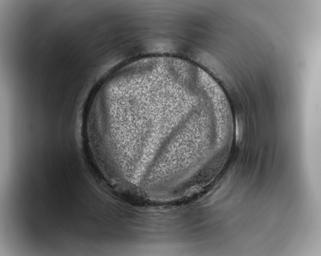 X0000094200627200711091220