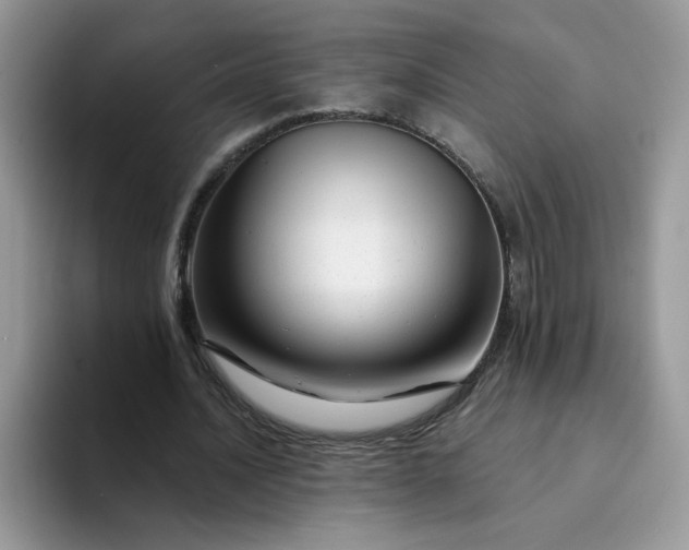 X0000094200628200711091220