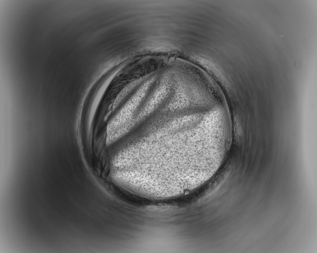 X0000094200630200711091220