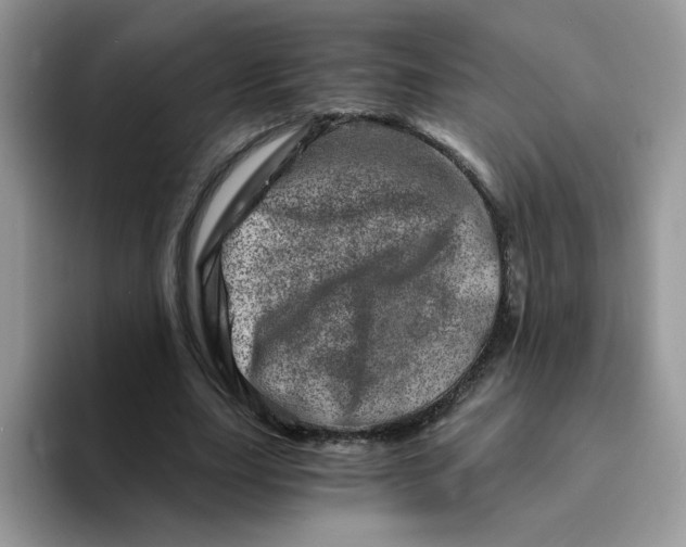 X0000094200631200711091220