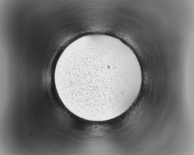 X0000094200632200711091220