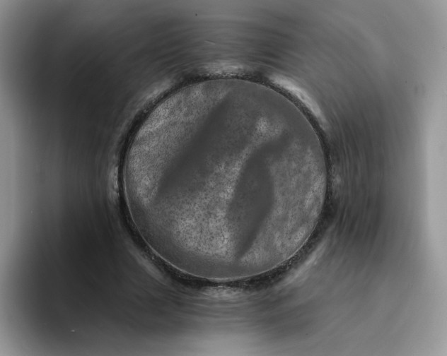 X0000094200633200711091220