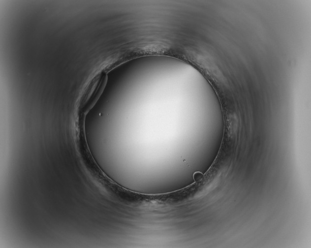 X0000094200634200711091220