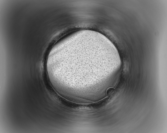 X0000094200636200711091220