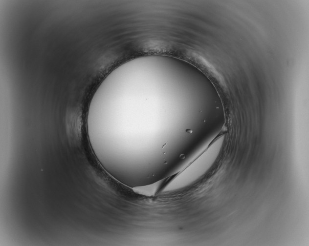 X0000094200637200711091220