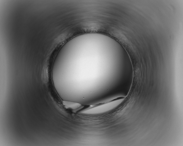 X0000094200638200711091220