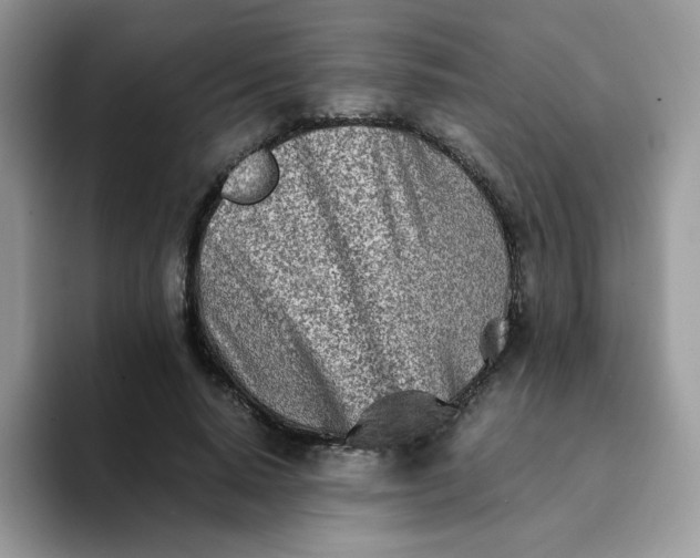 X0000094200640200711091220