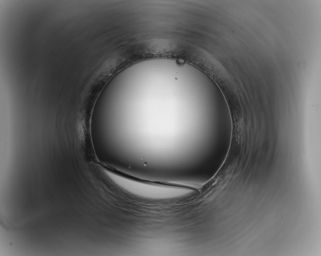 X0000094200644200711091220