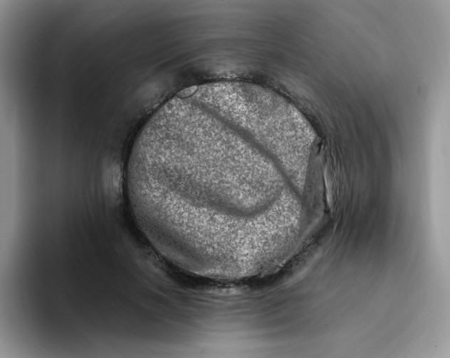 X0000094200646200711091220