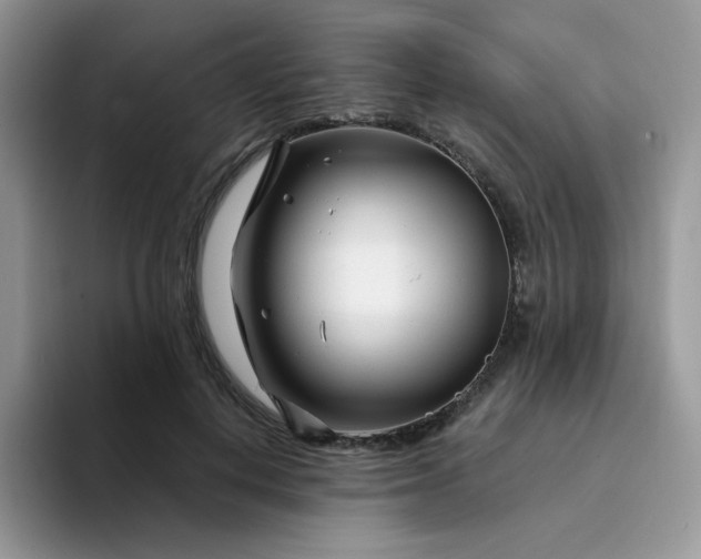 X0000094200648200711091220