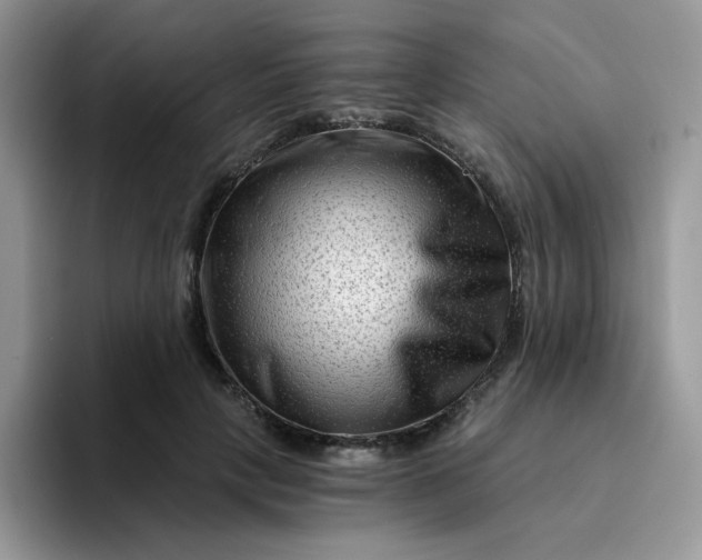 X0000094200649200711091220