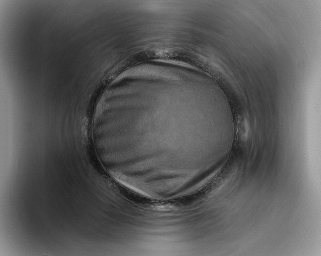 X0000094200650200711091220