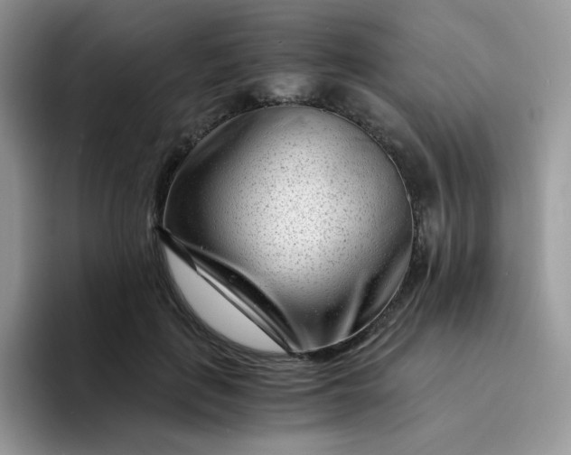 X0000094200651200711091220