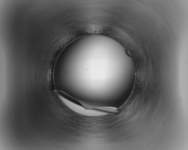 X0000094200652200711091220