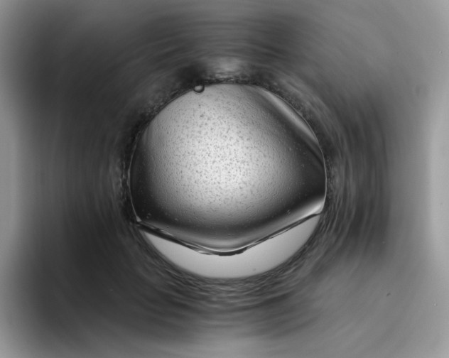 X0000094200653200711091220