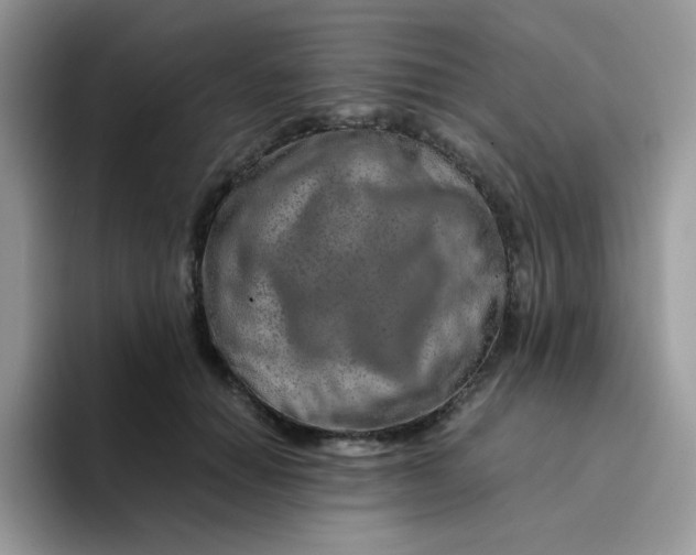 X0000094200654200711091220