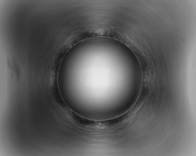 X0000094200656200711091220