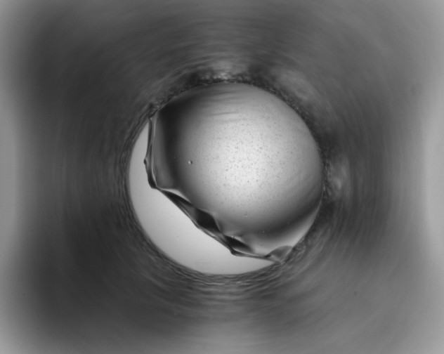 X0000094200657200711091220