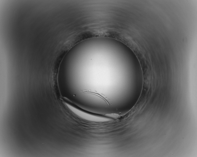 X0000094200658200711091220