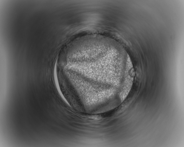 X0000094200659200711091220