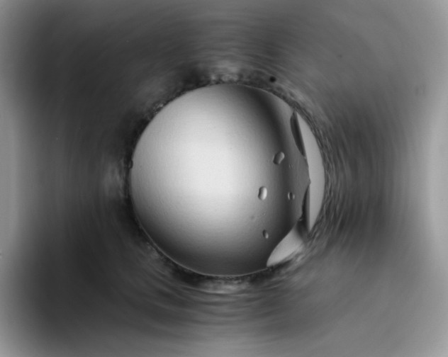 X0000094200661200711091220