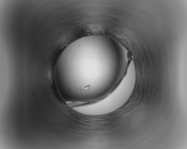 X0000094200662200711091220