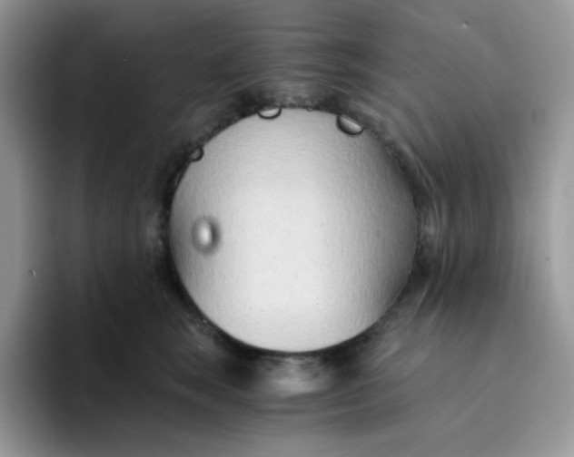 X0000094200663200711091220