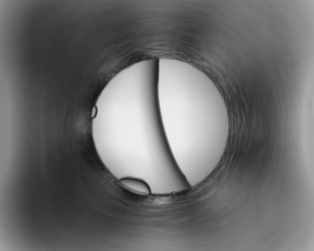 X0000094200665200711091220