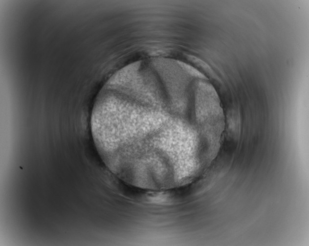 X0000094200667200711091220