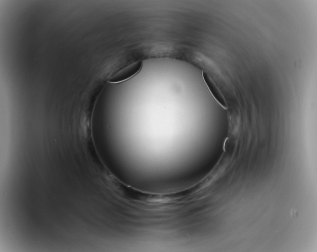 X0000094200669200711091220